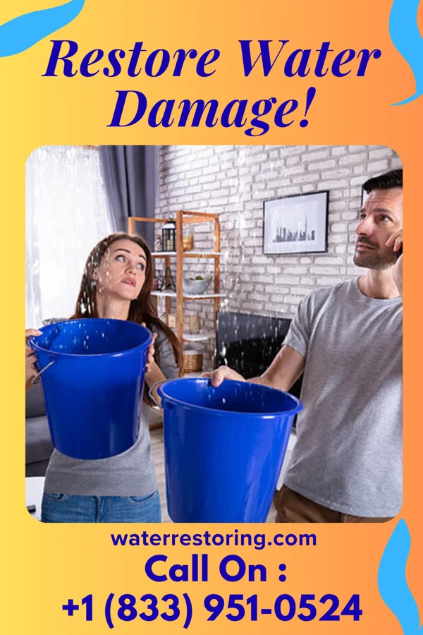 water restoration Lightning Water Cleanup Company Sebastopol