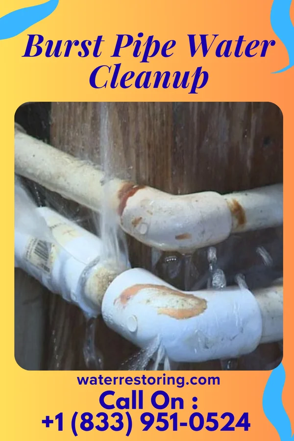 Burst Pipe Water Cleanup in Sebastopol, MS