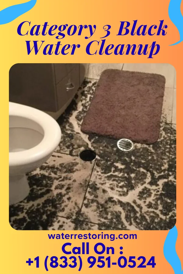 Category 3 Black Water Cleanup in Sebastopol, MS